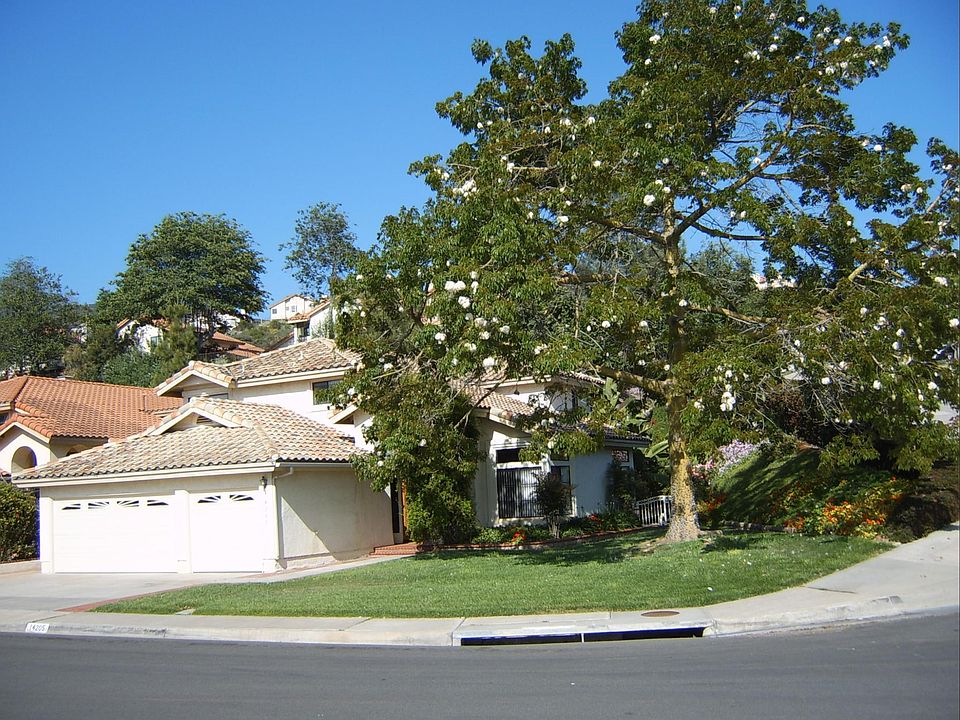 Lawn has been replaced with drought tolerant plants.