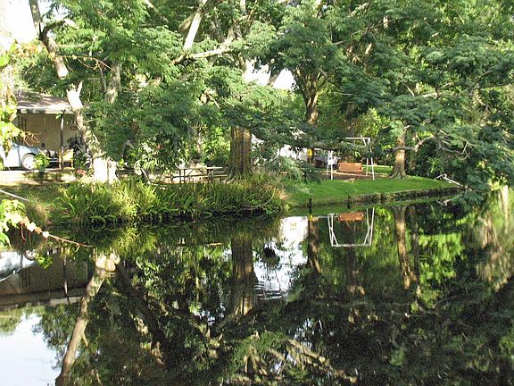 Lake Side View