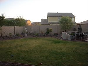 back yard