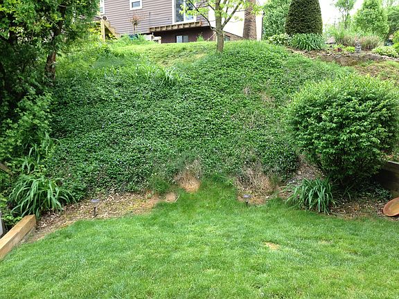 5th image of 2847 Dolores Dr
