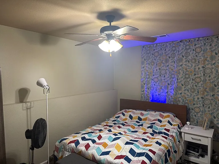 165 Lyle Curtis Cir — Photo 5