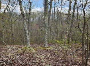 Id40 Greenbriar Ct, Holladay, TN 38341