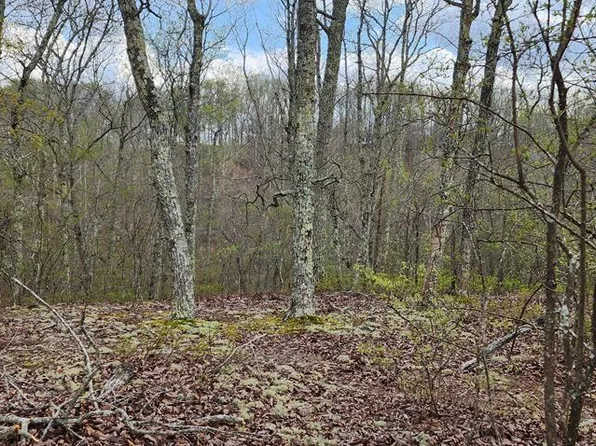 Id40 Greenbriar Ct, Holladay, TN 38341