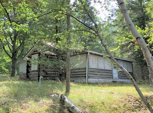 15923 Jones St, Carp Lake, MI 49718