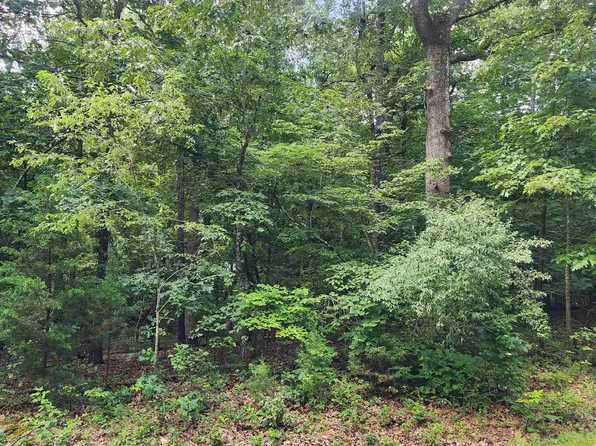 L-42-B Saskatchewan Dr #1, Cherokee Village, AR 72529