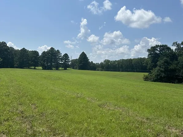 0 Hinchey Cemetery Rd, Paris, TN 38242