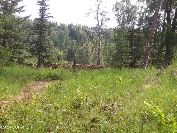 16570 Happy O Ave, Ninilchik, AK 99639