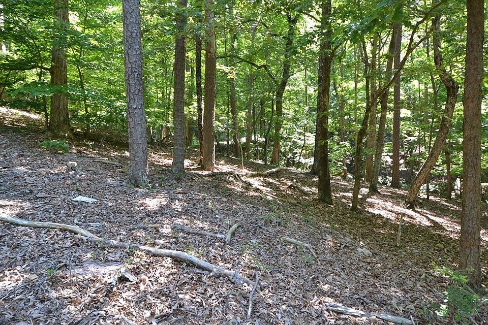 1st image of 1016 Sleepy Hollow Cir