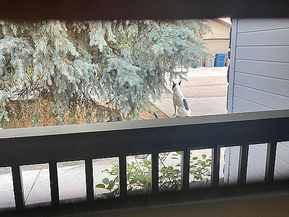 Front porch