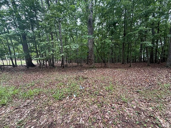 3rd image of 19 Saunders Point Rd Lot 19