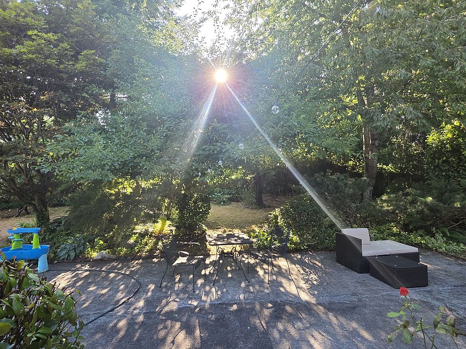 Backyard - Evening