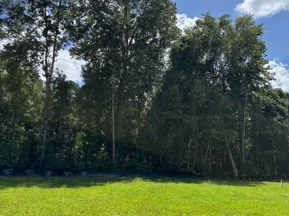 0 Shine Ln, Moncks Corner, SC 29461