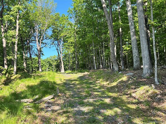3rd image of South Plank Road