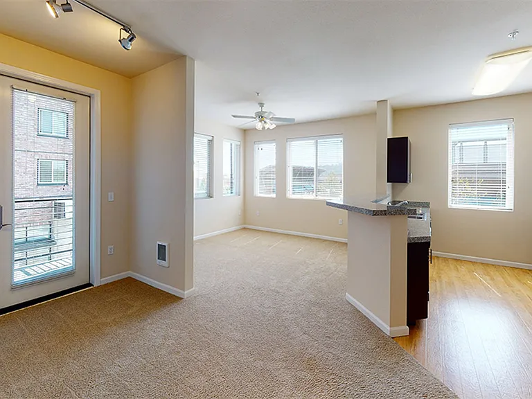 Apartment dining and living room with plush carpet flooring.