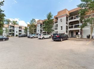 412 S Main St #1B4, Dillon, CO 80424