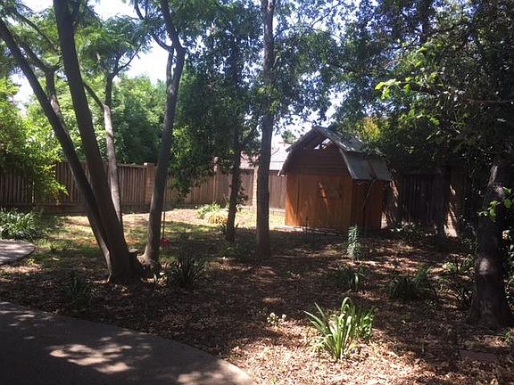 large, shady back yard