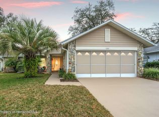 6384 Pine Meadows Dr, Spring Hill, FL 34606