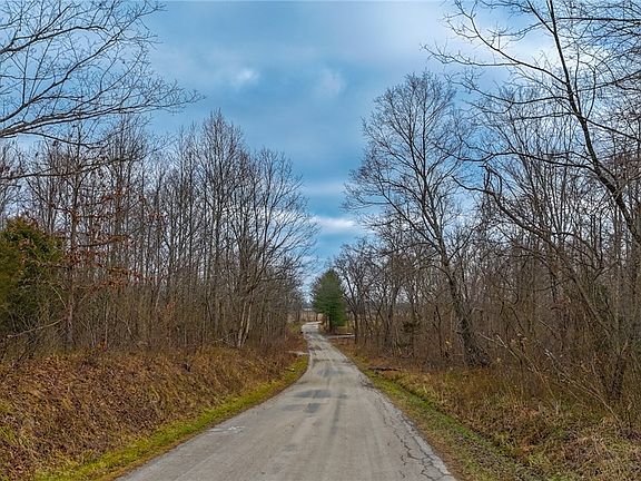 2nd image of 0 Long Fork Rd