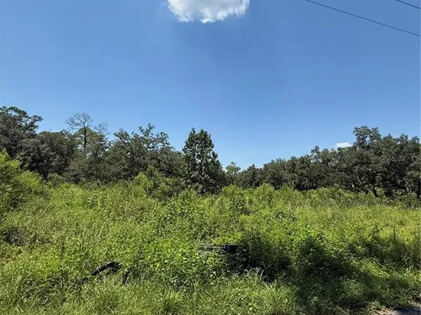 1356 Montzen Rd, Davenport, FL 33896