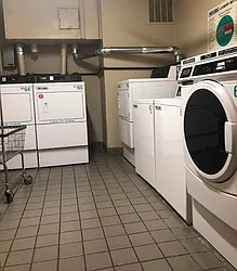 Rented by Manivita New York LLC