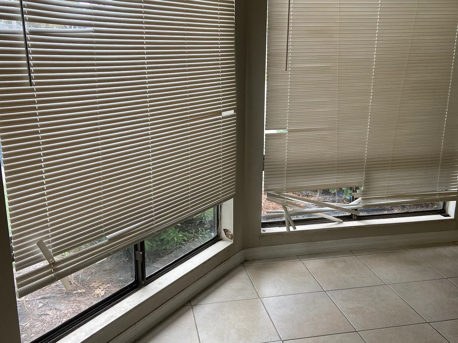 2 bed, 976 sqft, $1,450 — Photo 4