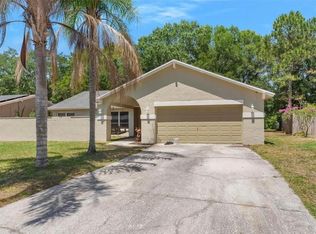 13934 Cherry Creek Dr, Tampa, FL 33618