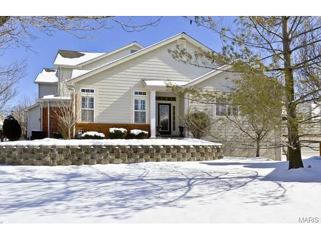 16802 Chesterfield Bluffs Cir photo 1
