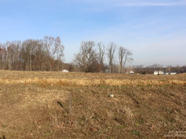 0 Lindsey Rd Unit 28, Jackson, MI 49201