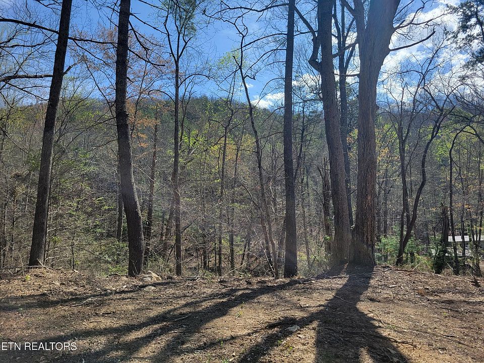 1st image of 13 Honeysuckle Ln Lot 13