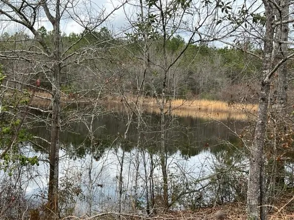 14 County Road 14, Range, AL 36473