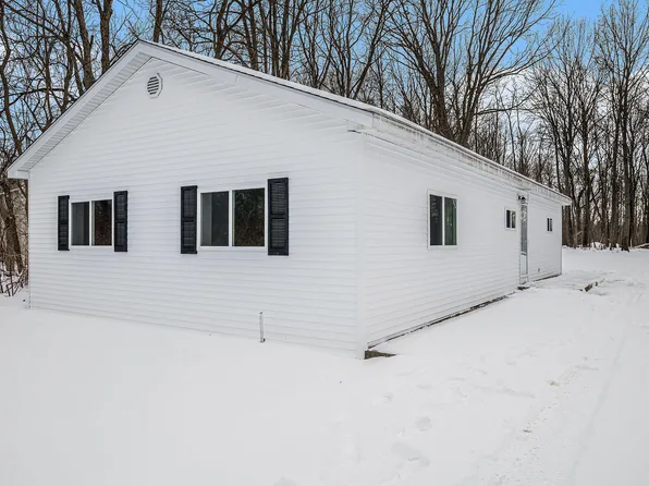 17723 Brownsville St, Vandalia, MI 49095