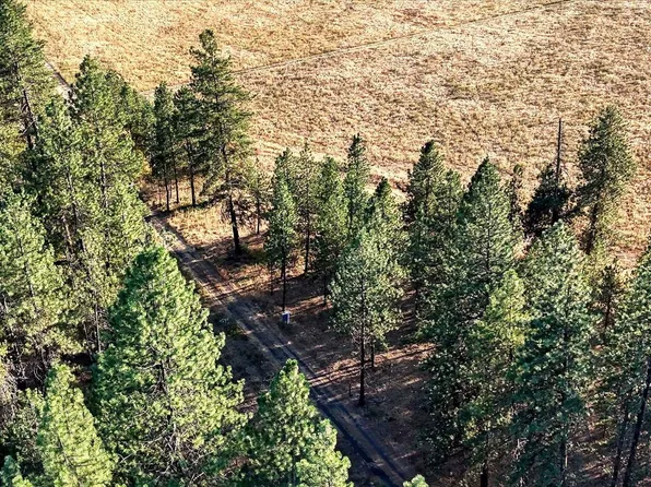 N Regal Rd, Chattaroy, WA 99003