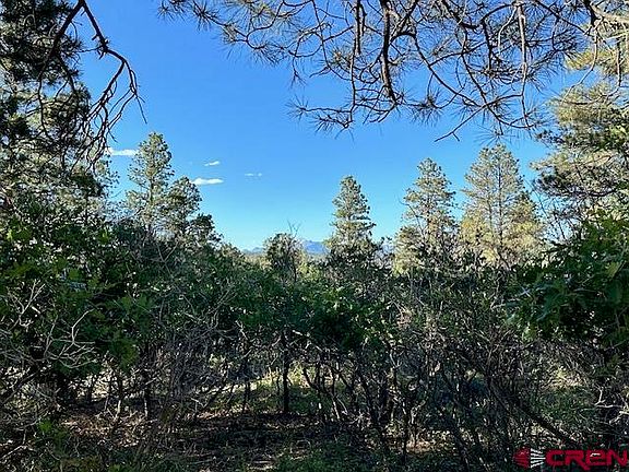2nd image of 876 Evergreen Drive
