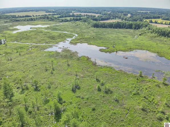 0 State Highway 121, Cunningham, KY 42035