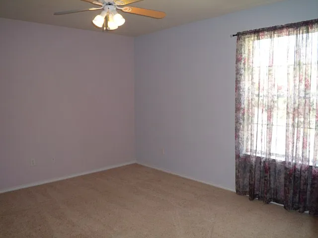 321 Canoe Dr — Photo 19
