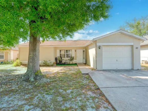 11343 Blackbark Dr, Riverview, FL 33579