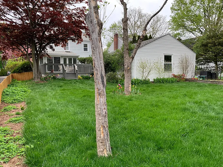37 Spring Garden St — Photo 9