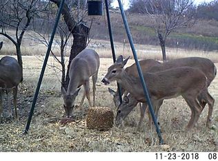 10 Baugh Rd, Gainesville, TX 76240