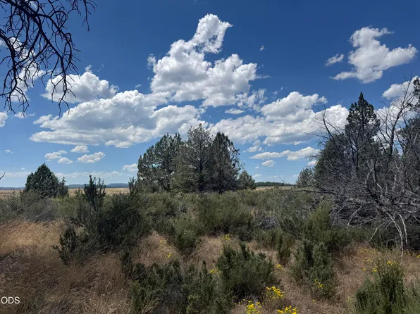 2000 Oregon Pines Rd, Beatty, OR 97621