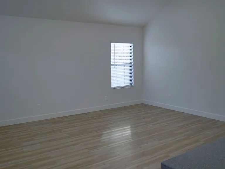 241 Brushy Creek Trl — Photo 9