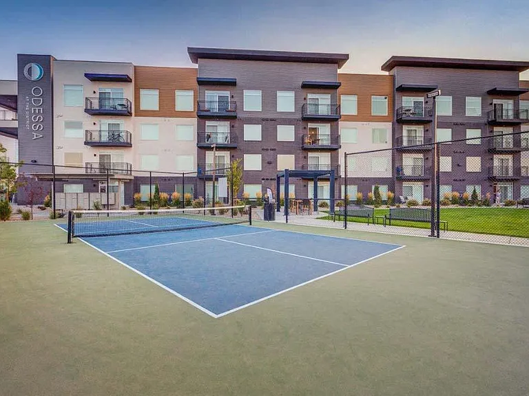 Pickleball Court