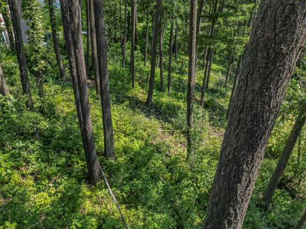 LOT 25 Forest View Pl, Columbia Shuswap, BC V0E 1H2