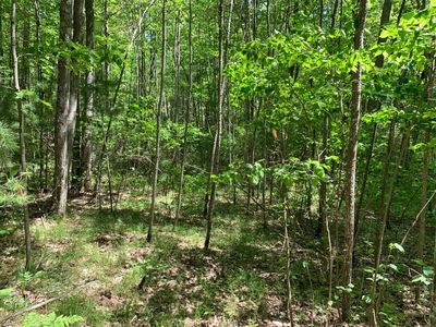 LOT 44 Norway Pine Trl, Tomahawk, WI, 54487
