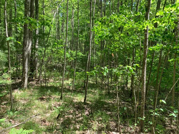 LOT 44 Norway Pine Trl, Tomahawk, WI 54487