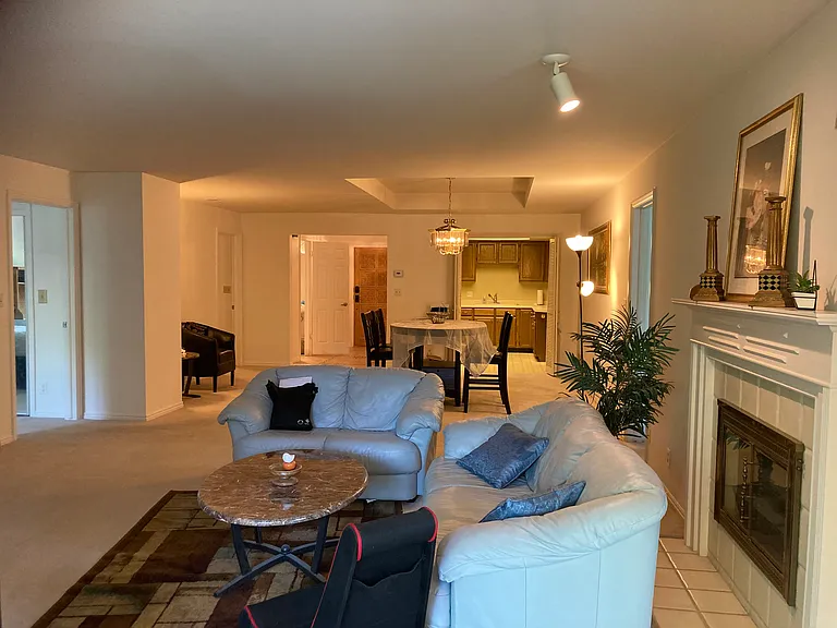 171 E 3rd Ave #203 — Photo 9