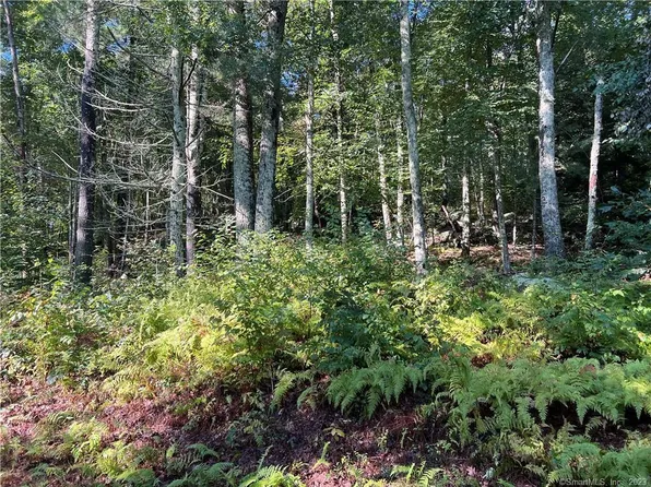 0 Elliott Road, Brooklyn, CT 06234