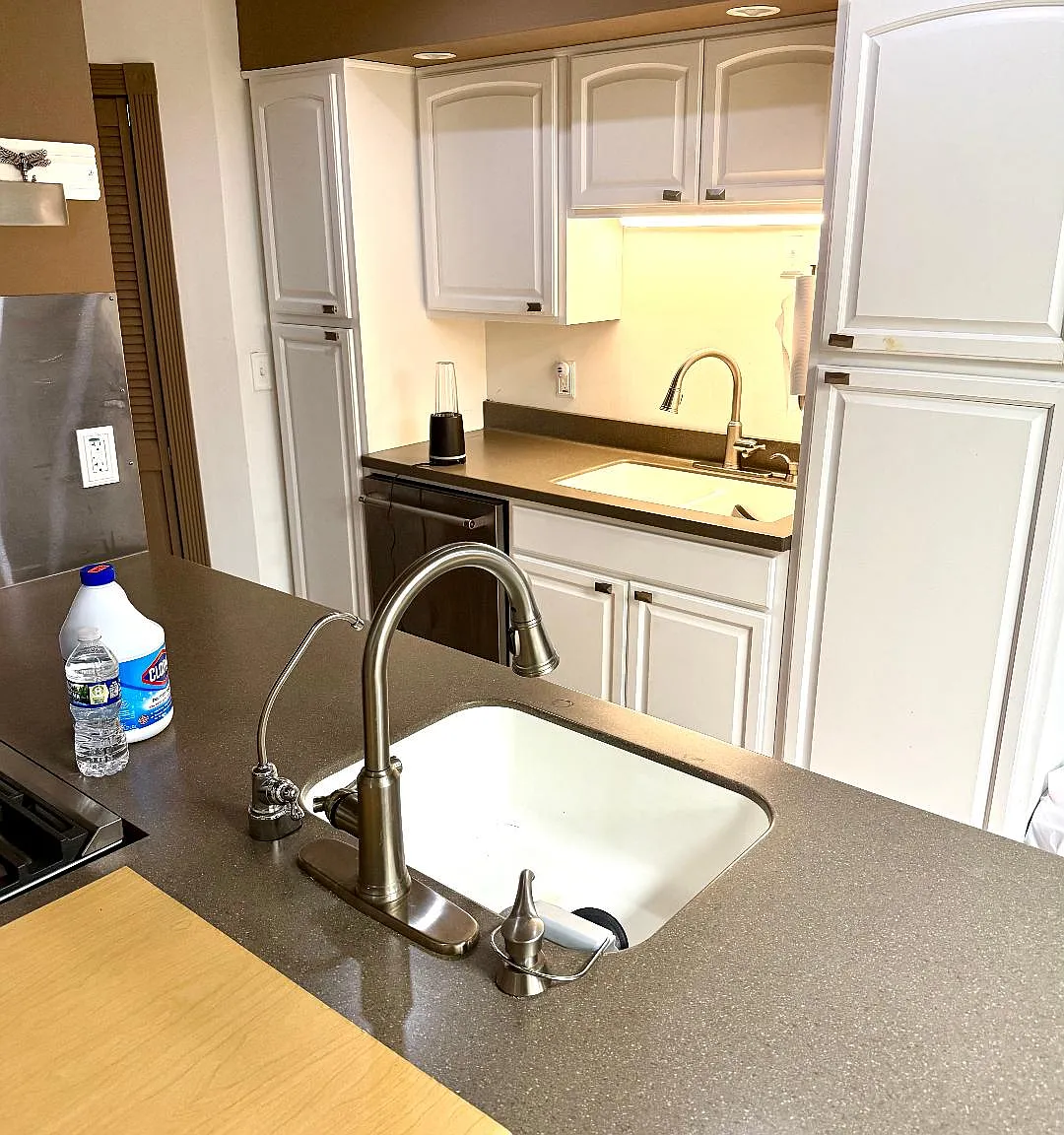 2 bed, 1100 sqft, $1,500 — Photo 2