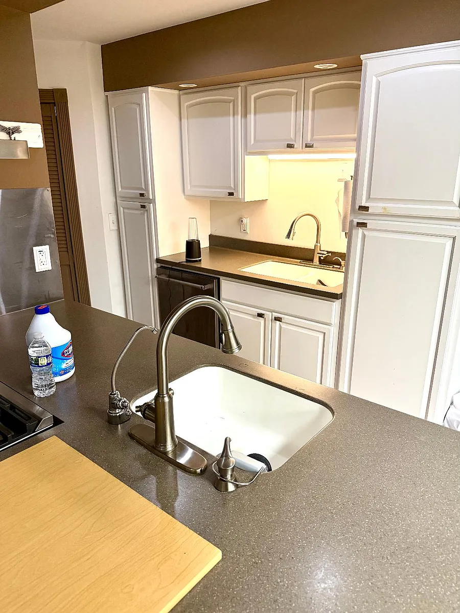 2-sink in kitchen - 133 W Ridge Rd #1