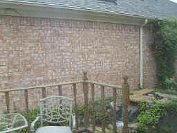 5th image of 8600 Summer Tree Ln