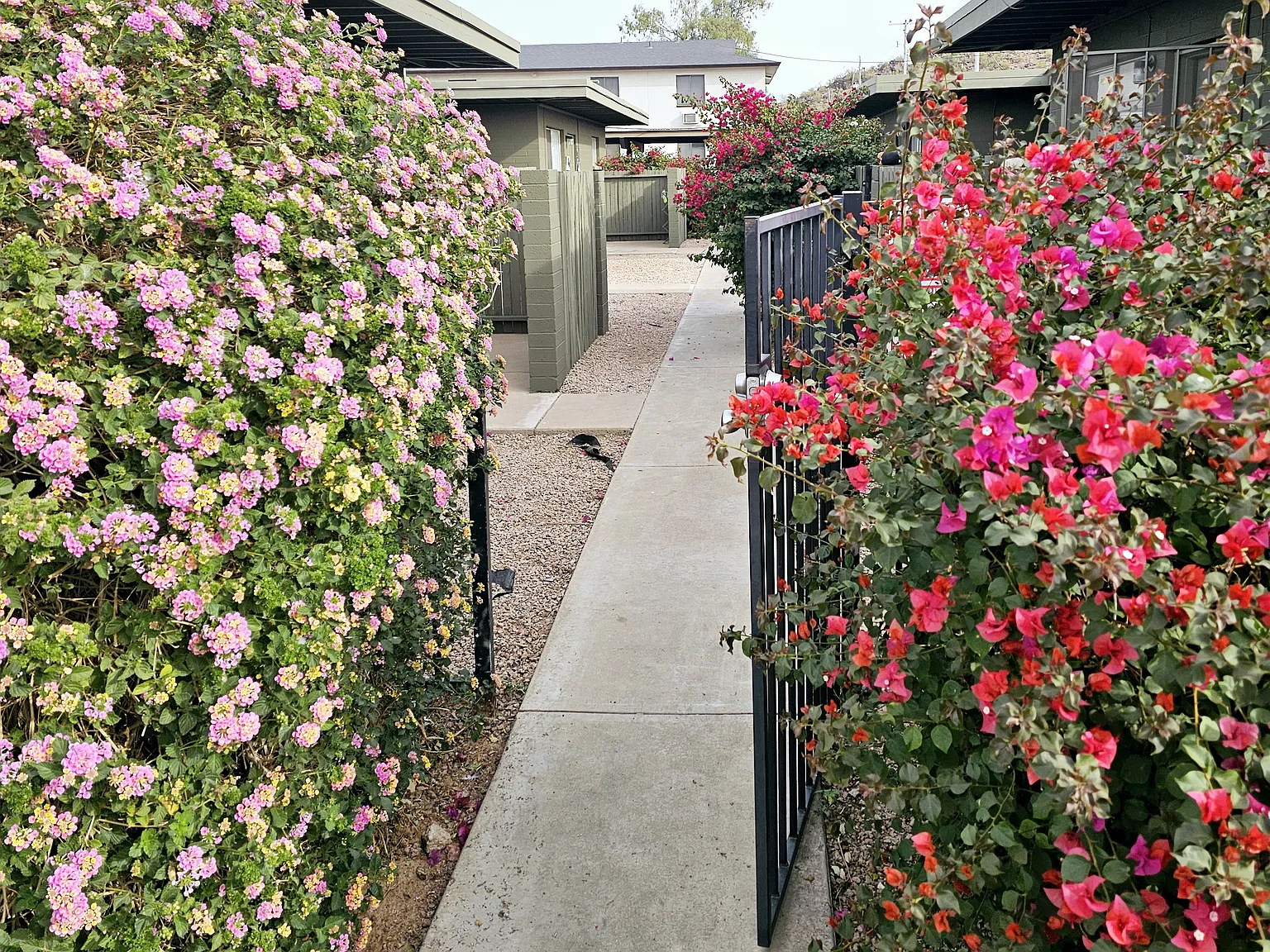 Aster Gardens — Photo 1
